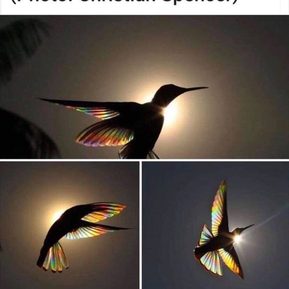 Meet your Posher, Debbie - Picture 1 of 1